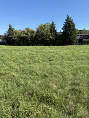 Grundstück zum Kauf in 5230 Braunau am Inn