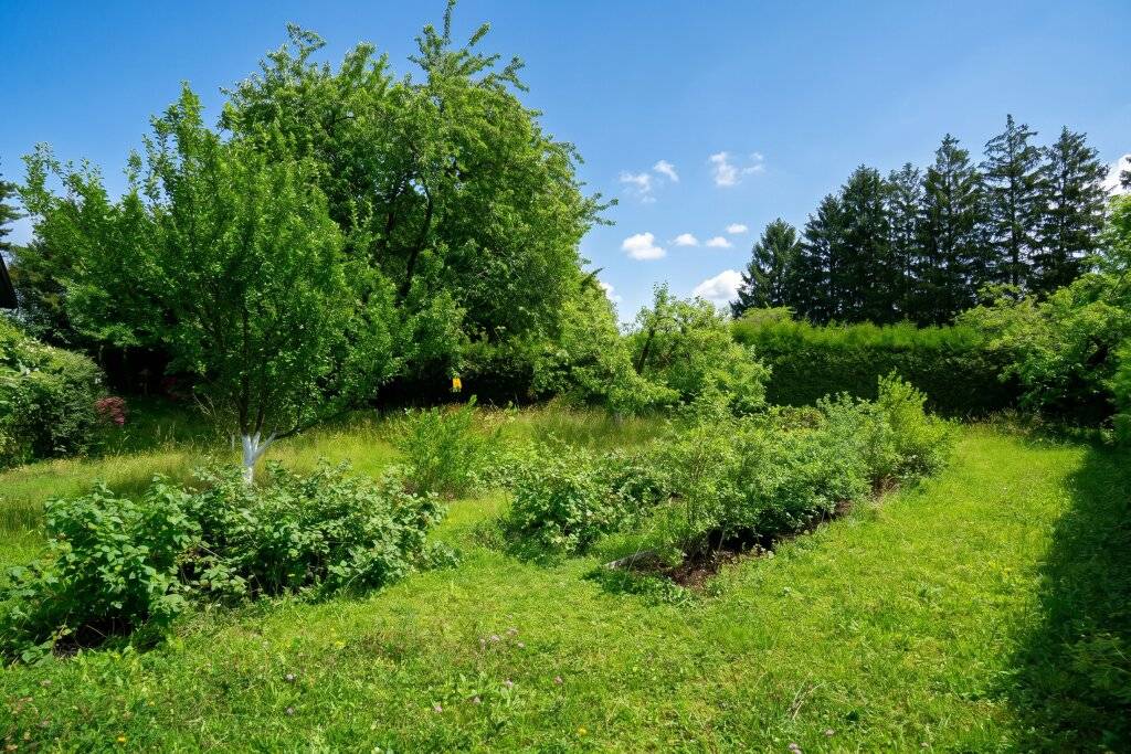 Wohnen mit Perspektive - Vielseitige Liegenschaft in begehrter Lage am Kaiserspitz – pohled 2