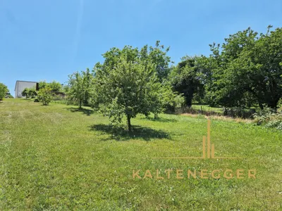 5-Zimmer-Haus kaufen in Mattersburg – 221,22 m², € 980.000 – Bild 29 von 34