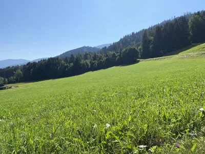 Grundstück kaufen in Liezen – 768 m², € 229.999 – Bild 3 von 8