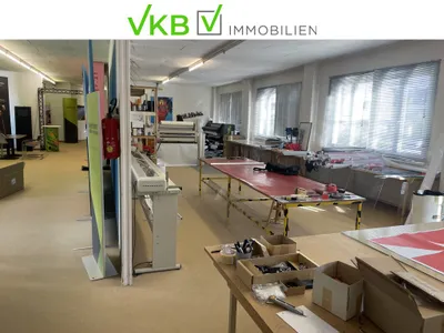 Immobilie kaufen in Linz – 3 484 m² – Bild 5 von 19