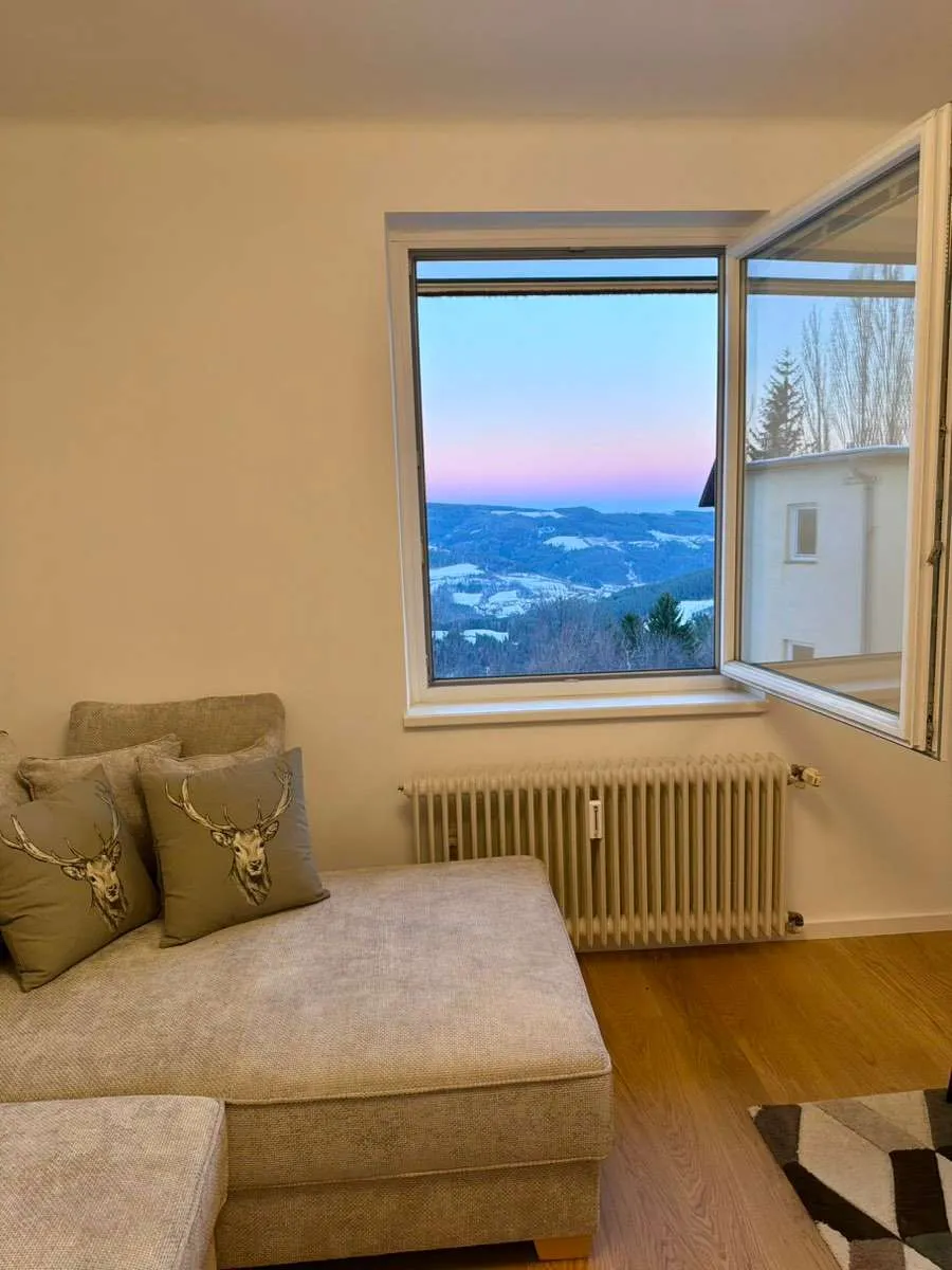 Wohnung – St. Corona am Wechsel - Ansicht 3