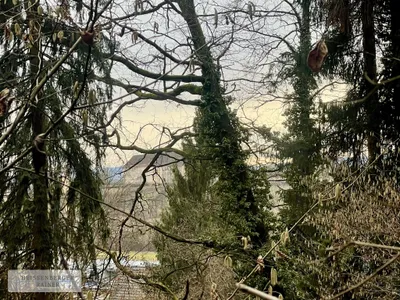 Grundstück kaufen in Deutschlandsberg – 6 763 m², € 249.000 – Bild 12 von 22
