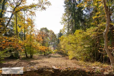 Grundstück kaufen in Deutschlandsberg – 6 763 m², € 249.000 – Bild 5 von 22