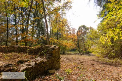 Grundstück kaufen in Deutschlandsberg – 6 763 m², € 249.000 – Bild 3 von 22