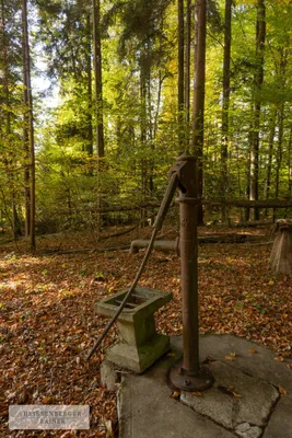 Grundstück kaufen in Deutschlandsberg – 6 763 m², € 249.000 – Bild 4 von 22