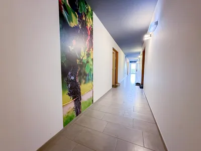 2-Zimmer-Wohnung mieten in Weiz – 44,44 m², € 617 – Bild 15 von 16