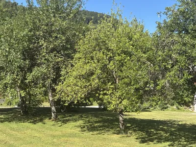 3-Zimmer-Wohnung kaufen in Salzburg-Umgebung – 72,35 m², € 314.000 – Bild 2 von 17