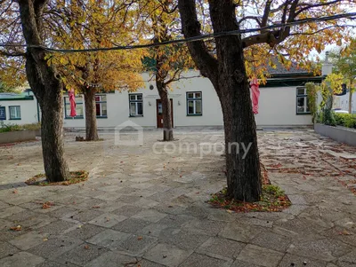 Grundstück kaufen in Baden – 1 422 m², € 1.350.000 – Bild 2 von 6