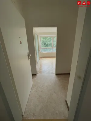 1-Zimmer-Wohnung mieten in Linz – 36 m², € 496 – Bild 1 von 5