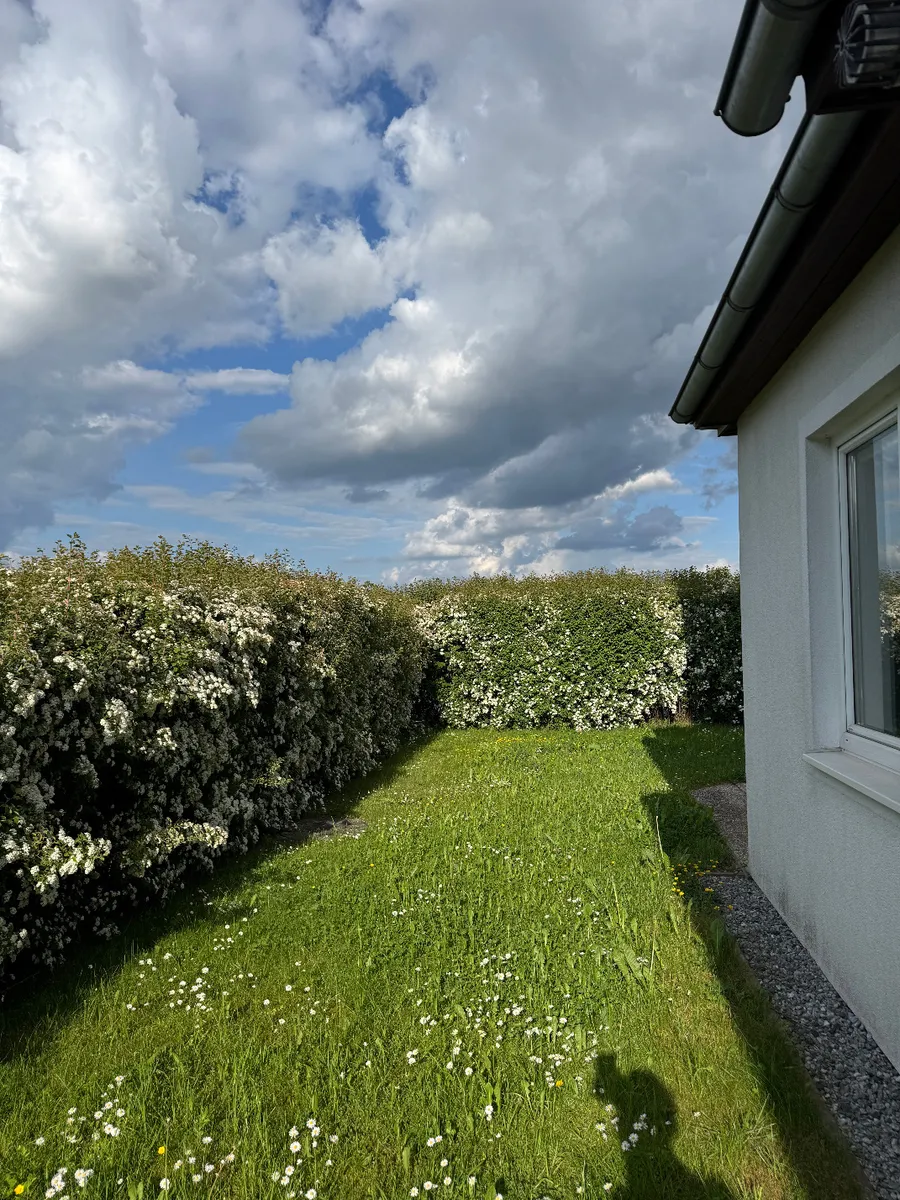 House in Vorchdorf, Eggenberg - Ansicht 3
