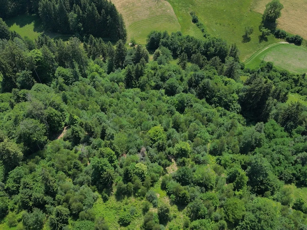 4.5 ha Wiesen und Wald in Villach - Ansicht 3