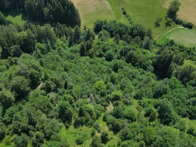 Grundstück kaufen in Villach – 45 338 m², € 179.000 – Bild 3 von 6
