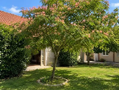 6-Zimmer-Haus kaufen in Hollabrunn – 342,71 m², € 1.199.000 – Bild 38 von 50