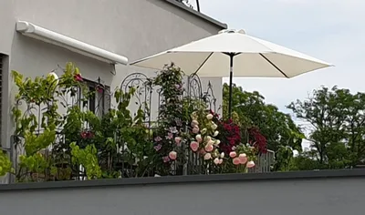 3-Zimmer-Wohnung mieten in Linz – 71 m², € 813 – Bild 13 von 14