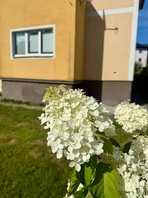 8-Zimmer-Gewerbeimmobilie kaufen in Salzburg Stadt – 138 m², € 695.000 – Bild 5 von 5
