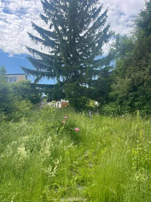4-Zimmer-Haus kaufen in Mödling – 120 m², € 735.000 – Bild 6 von 20
