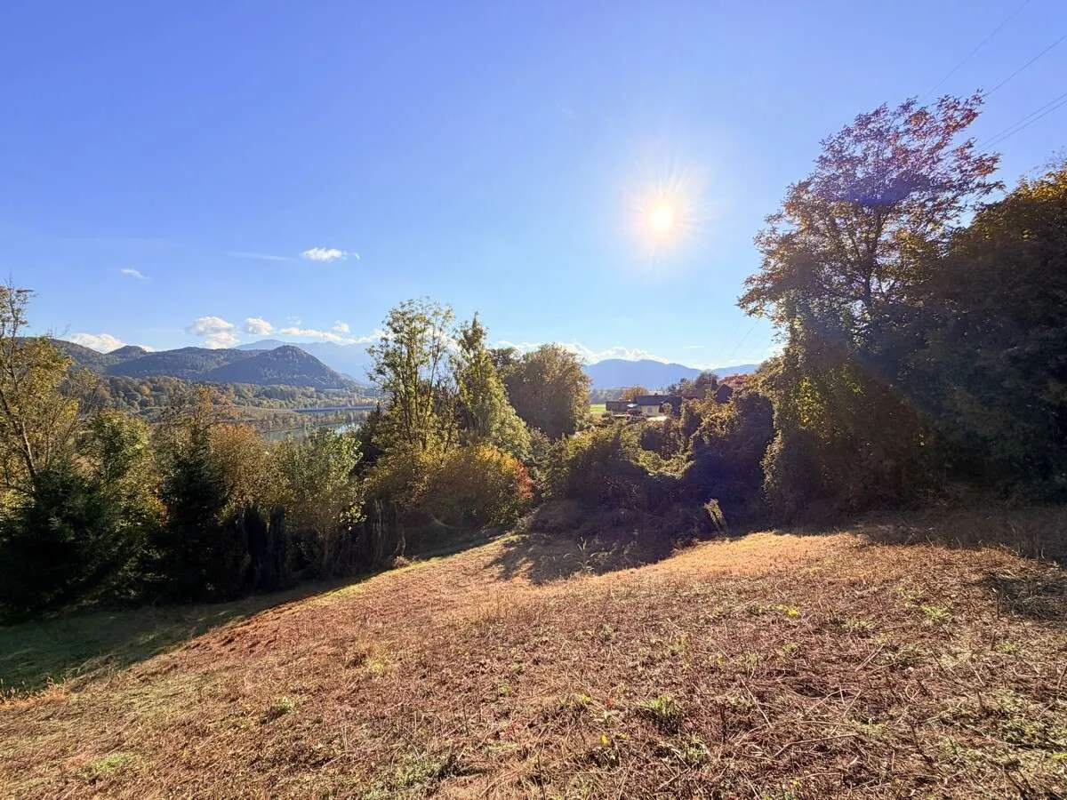 Ruhig gelegenes Grundstück mit Drau und Bergblick - Ansicht 3
