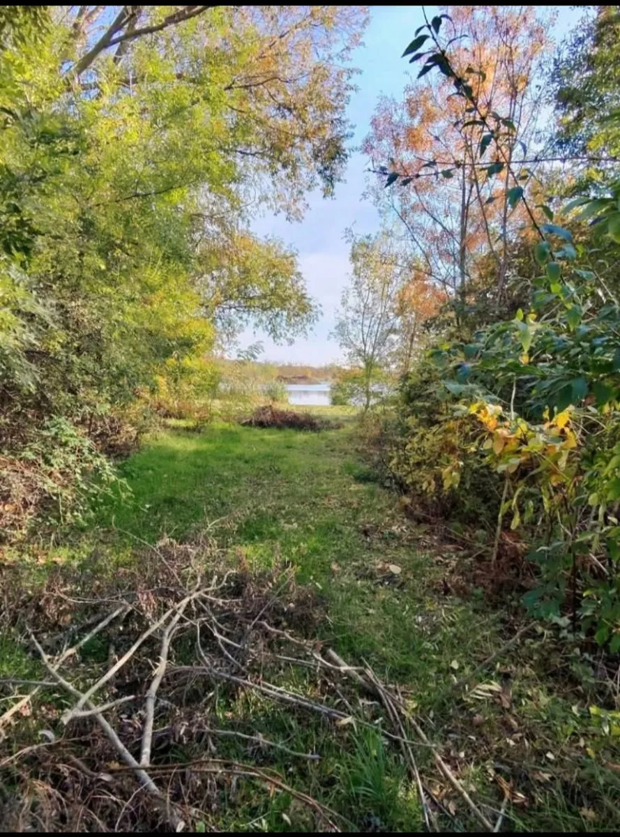 Traum Baugrund am See Nähe Neusiedlersee und Österreich - Ansicht 3