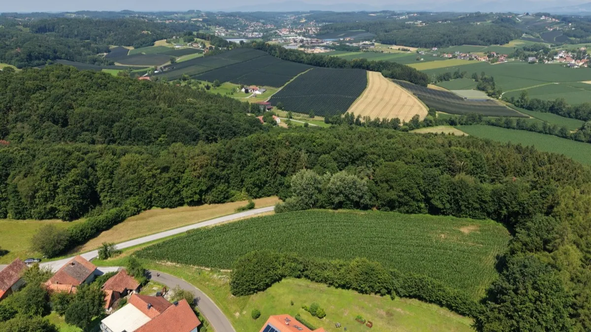 Land- und forstwirtschaftliche Flächen in Reith bei Markt Hartmannsdorf - Ansicht 3