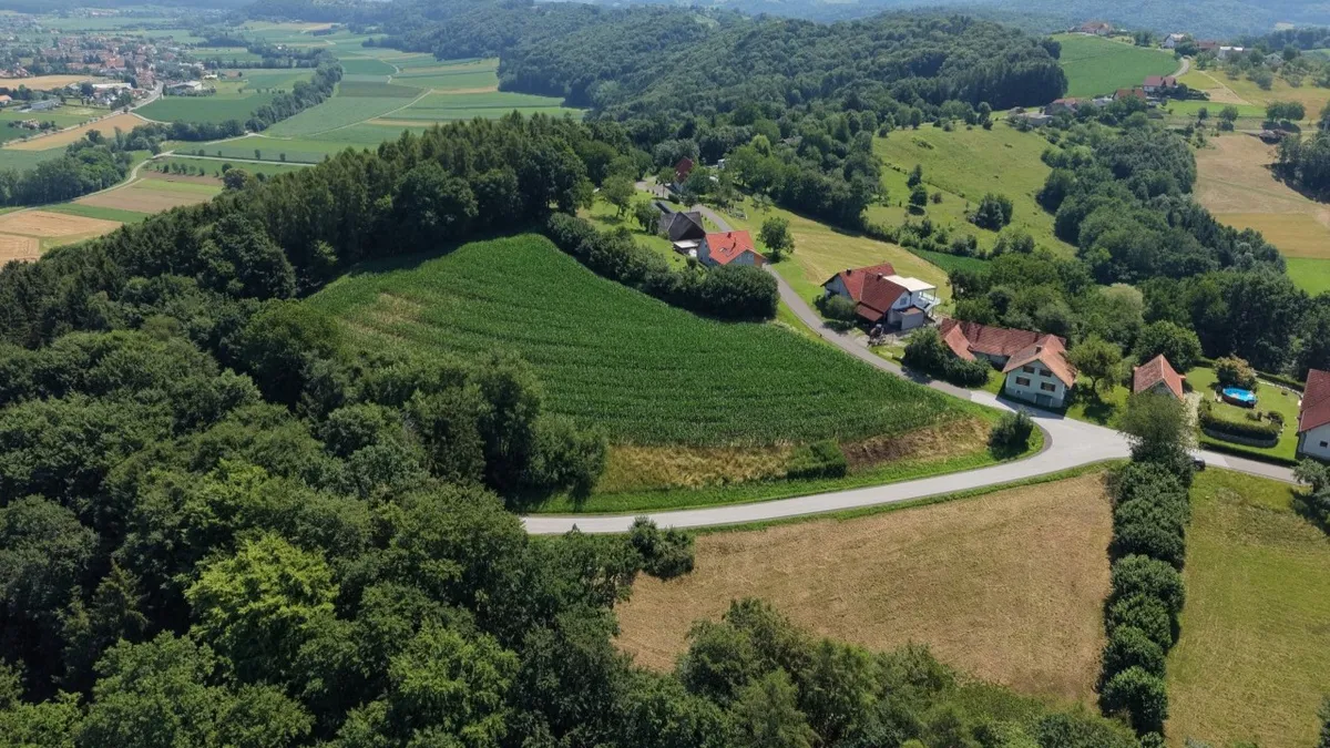 Land- und forstwirtschaftliche Flächen in Reith bei Markt Hartmannsdorf - Ansicht 2