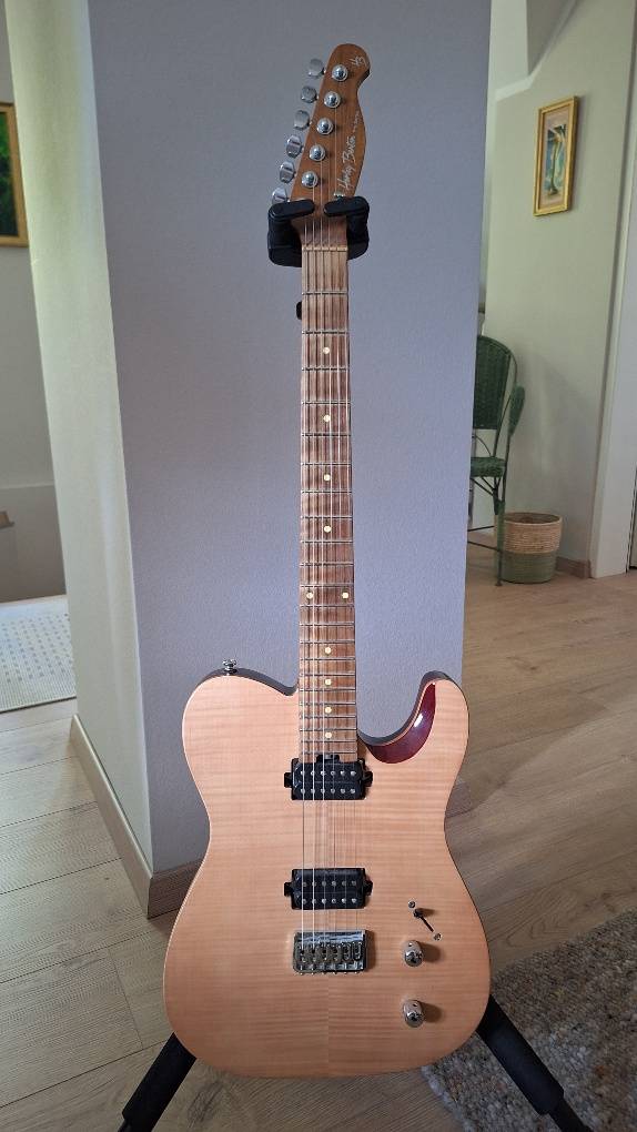Telecaster Harley Benton Pro Series, € 500,- (3003 Gablitz
