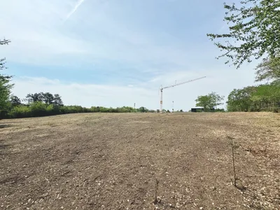 Grundstück kaufen in Neusiedl am See – 9 000 m², € 1.170.000 – Bild 4 von 5