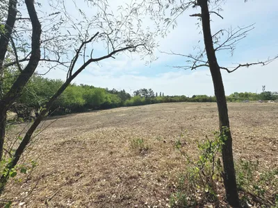 Grundstück kaufen in Neusiedl am See – 9 000 m², € 1.170.000 – Bild 5 von 5
