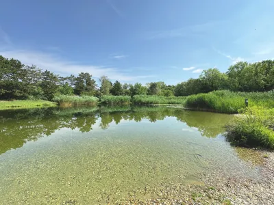 Grundstück kaufen in Neusiedl am See – 9 000 m², € 1.170.000 – Bild 2 von 5