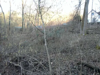Immobilie kaufen in Tulln – 1 526 m², € 13.900 – Bild 9 von 16