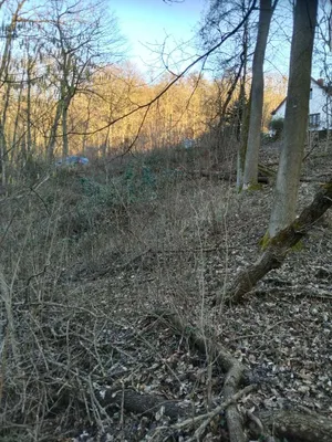 Immobilie kaufen in Tulln – 1 526 m², € 13.900 – Bild 2 von 16