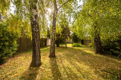 Haus kaufen in Mistelbach – 140 m², € 325.000 – Bild 36 von 39