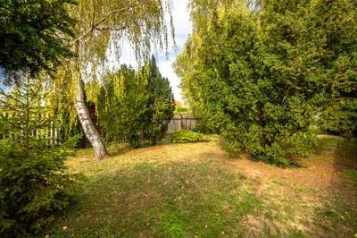 Haus kaufen in Mistelbach – 140 m², € 325.000 – Bild 38 von 39