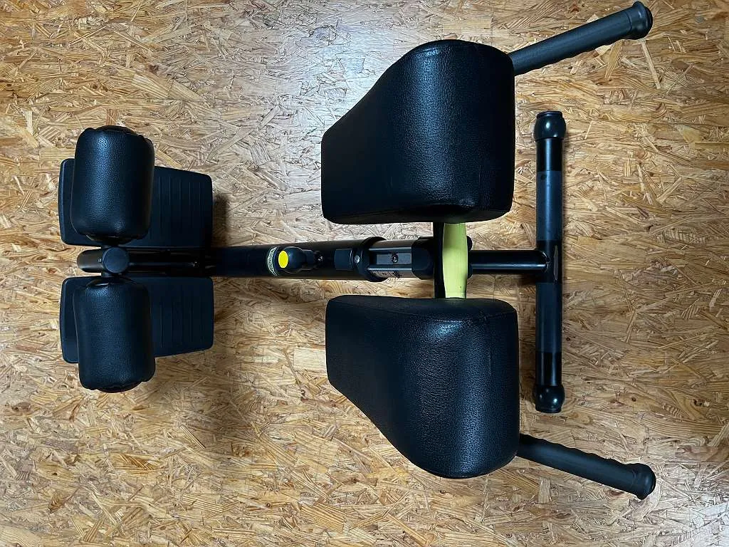 Machine De Fitness TechnoGym 'Lower Back' Pour étirement Dorsal Et Contrôle Du Mouvement - Occasion