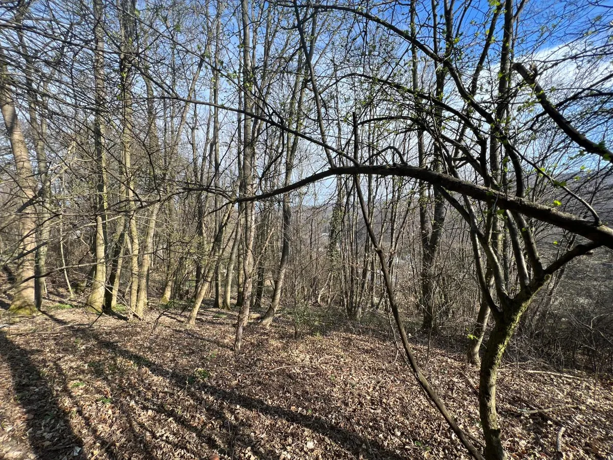 Grundstück mit Hausprojekt im 14. Bezirk Wiens - Ansicht 2
