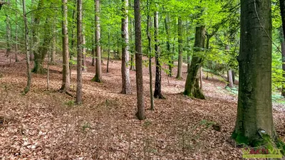 4-Zimmer-Haus kaufen in Südoststeiermark – 120 m², € 400.000 – Bild 21 von 28