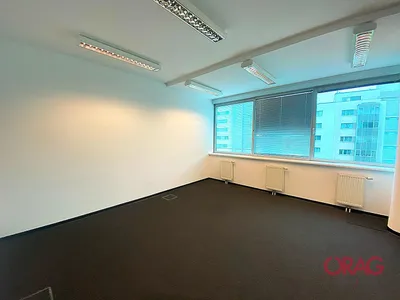 Gewerbeimmobilie mieten in Wien – 235 m², € 3.293 – Bild 2 von 9