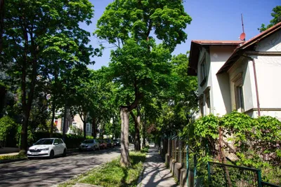 Immobilie kaufen in Wien – 673 m² – Bild 11 von 16