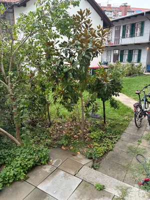 2-Zimmer-Wohnung mieten in Graz – 33 m², € 399 – Bild 12 von 17
