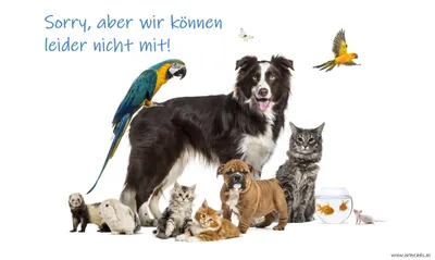 3-Zimmer-Wohnung mieten in Klagenfurt Land – 68,77 m², € 967 – Bild 16 von 16