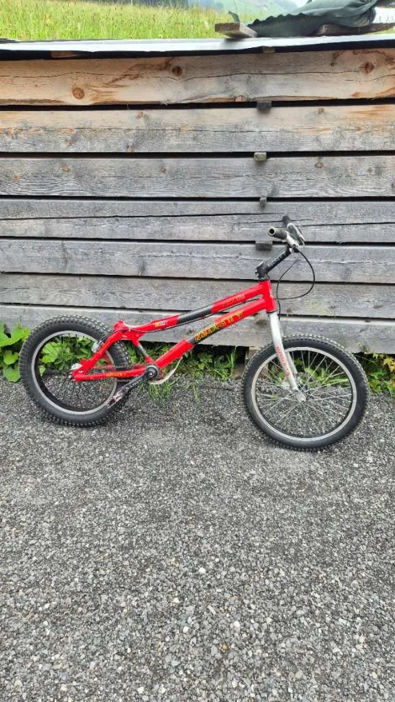 kinderfahrrad für 3 jährige gebraucht ACADEMY GRADE belt - 16 Zoll / refurbished Farbe:schwarz-reflektierend Sigma Lampa Tylna Blaze Top Artikel