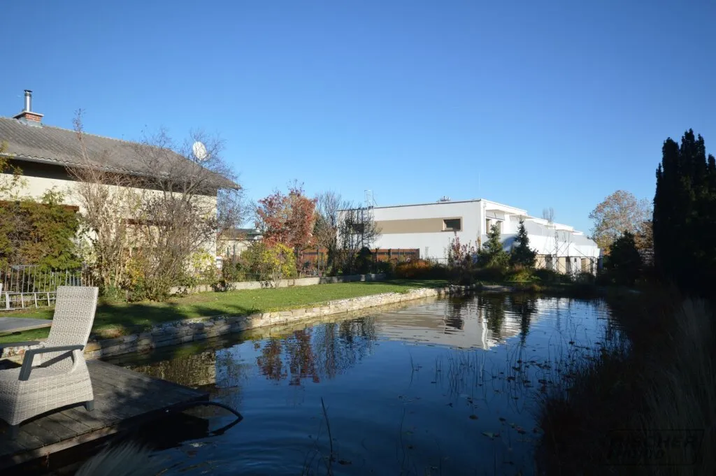 Kaum Energiekosten! EINFAMILIENHAUS MIT SCHWIMMTEICH und großem Grundstück - Ansicht 3