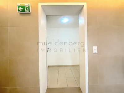 Moderne Traumwohnung mit Garten und Terrasse nahe der alten Donau! – Bild 2