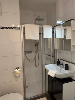 1-Zimmer-Wohnung mieten in Linz – 32 m², € 890 – Bild 4 von 9