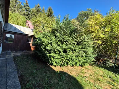 Haus kaufen in Wiener Neustadt Land – 154 m², € 497.191 – Bild 9 von 29