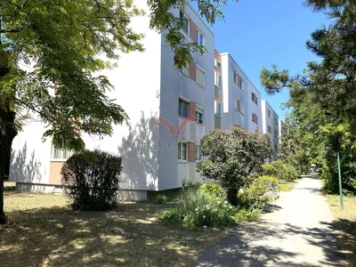 3-Zimmer-Wohnung mieten in Mödling – 89 m², € 1.229 – Bild 2 von 12