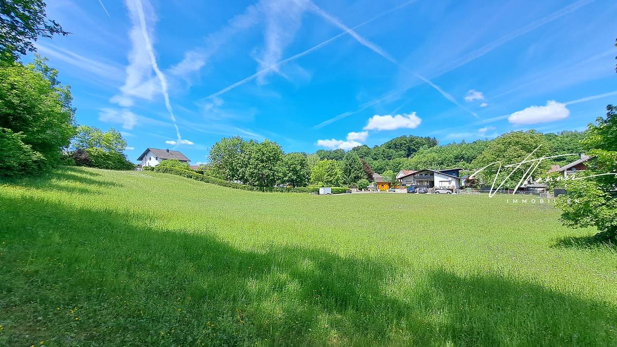 Ein Platz auf dieser Erde, auf dem Neues entstehen will - Ansicht 3