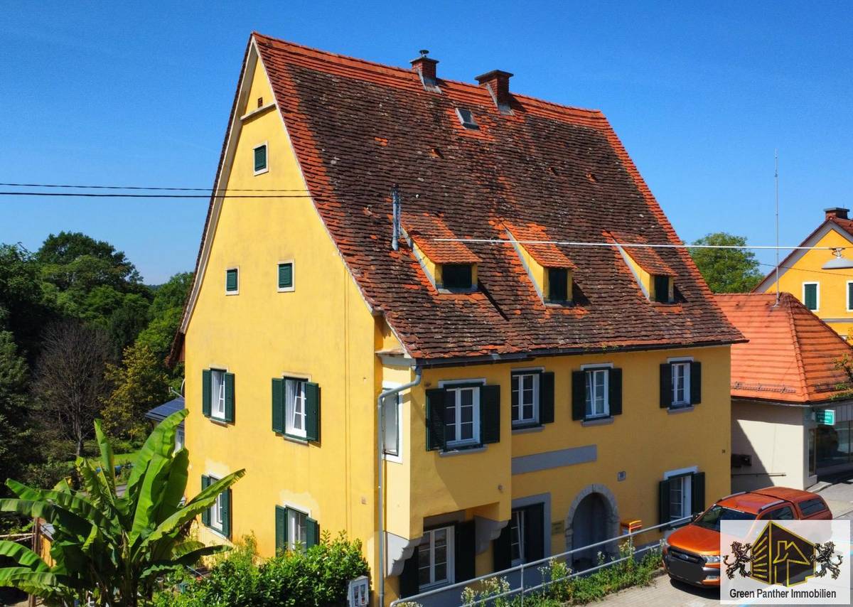 Neu renovierte Gewerbe- oder Wohnfläche in charmantem Altbau im Herzen von Gleisdorf! - Ansicht 3