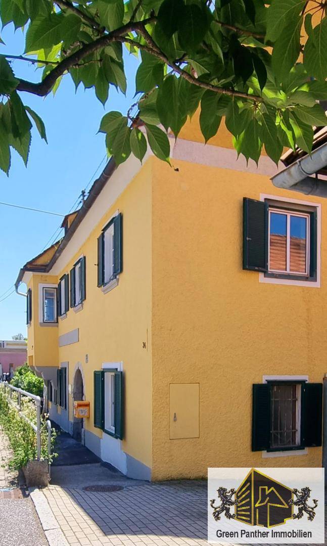 Neu renovierte Gewerbe- oder Wohnfläche in charmantem Altbau im Herzen von Gleisdorf! - Ansicht 2