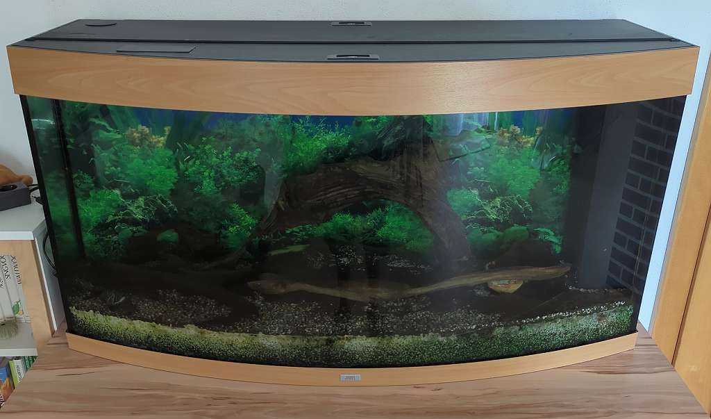 Zu verkaufen ist cheapest ein Aquarium 260 Liter